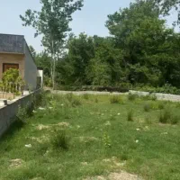 قابل ساخت با مجوز پلاک 1جنگل/مجتمع اختصاصی