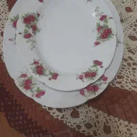 ظروف پذیرایی|ظروف سرو و پذیرایی|رشت, شهرک آیت الله منتظری|دیوار