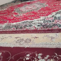 قیمت سرجمع 14میلیون