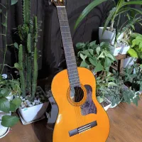 گیتار یاماها c70