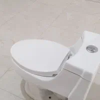 دسشویی فرنگی سالم در حدنو