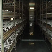 راهنمای در مورد سرمایه‌گذاری