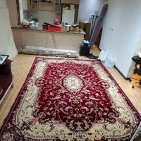 فرش قرمز تراکم بالا نه متری|فرش|مشکین‌دشت, |دیوار