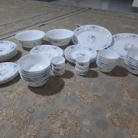 ۱۲ نفره آرکوپال