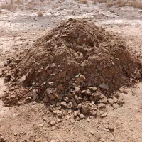 کود گوسفندی یک وانت|خدمات باغبانی و درختکاری|شهریار, شهرک بهاران (ویره)|دیوار