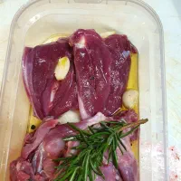 گوشت کبوتر چاهی