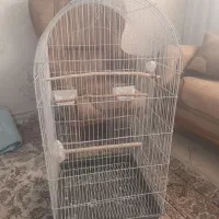 قفس عروس هلندی ،طوطی و غیره