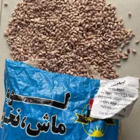 لوبیا چیتی  وارداتی|عمده‌فروشی|پیرانشهر, |دیوار