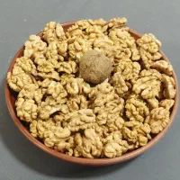 خرید دست اول مغز گردو (بدون واسطه)