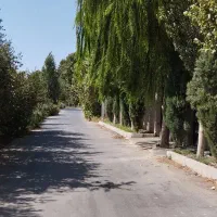 ۲۵۰ متر زمین مناسب ساخت ویلا بهترین لوکیشن سهیلیه|فروش زمین و ملک کلنگی|کرج, دهقان ویلا|دیوار