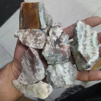 پنجاه قطعه شجر خراسان|جواهرات|کرمانشاه, |دیوار