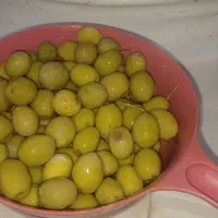 زیتون شور|عمدهفروشی|دالاهو, |دیوار