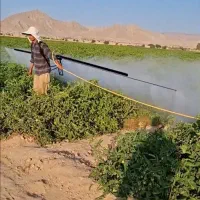 بوم سمپاش میلاد( لانس سمپاش استیل)