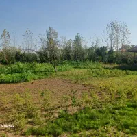 ویلا جنگلی|فروش خانه و ویلا|رشت, بازار|دیوار