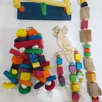 پت شاپ|لوازم جانبی حیوانات|فردوس (خراسان), |دیوار