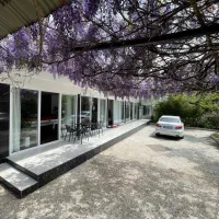 اجاره روزانه ویلا استخر مدرن بهترین لوکیشن vlp