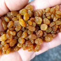 کشمش سبزه انگوری(دودی)تیزابی|حراج|ملایر, |دیوار