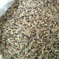 سهره قناری دانه مخلوط دان میکس بالانس هفت تخم