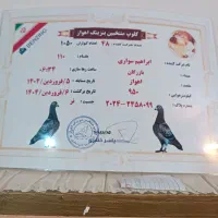 مسافتی بلند