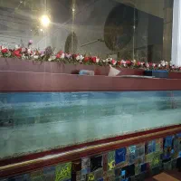 آکواریوم 3متری