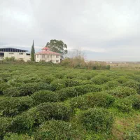 7-هکتار-زمین-شهری-موقعیت-طلایی-برای-شهرک