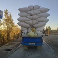 خرید فروش کاه تحویل درب منزل