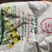 بذرکلزا هیولا۵۰ پلمپ