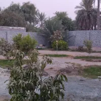 اجاره خونه باغ استخر دار|اجارهٔ کوتاه‌مدت ویلا و باغ|میناب, |دیوار