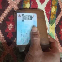 مدارک پیدا شده