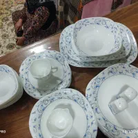 ظرف اکروپال|ظروف سرو و پذیرایی|بانه, |دیوار