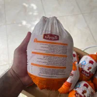 اکبر جوجه منجمد کارتنی|خوردنی و آشامیدنی|آمل, |دیوار