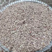 لوبیا چیتی|خوردنی و آشامیدنی|تهران, بلورسازی|دیوار