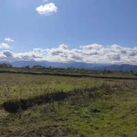 مزرعه ده تاسی هزار متر،مناسب کاشت کیوی|فروش زمین و ملک کلنگی|تالش, طولارود|دیوار