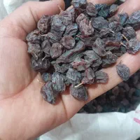 کشمش سیاه دانه درشت|خوردنی و آشامیدنی|شیراز, جوادیه|دیوار