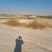 فروش زمین مسکونی در کره سیاه بهبهان|فروش زمین و ملک کلنگی|بهبهان, |دیوار