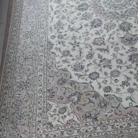 فرش   کاشان   کرم  دستباف|فرش|تهران, شکوفه (عبدل آباد)|دیوار