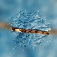 دستبند استیل گوچی|بدلیجات|تهران, هفت حوض|دیوار