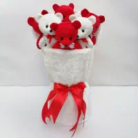 بوکت تدی|اسباب‌بازی بچه|شیروان (خراسان), |دیوار