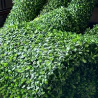 فروش فنس چمنی و برگی و