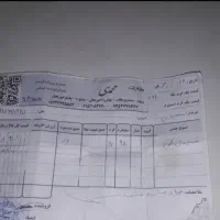 فروش طلا تک پوش سایز ۳|جواهرات|مشهد, شهید معقول|دیوار