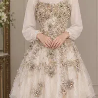 لباس مجلسی