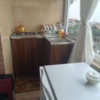 سوییت-جنگلی