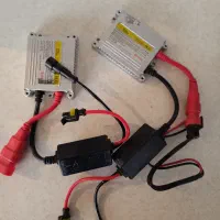 ترانس زنون