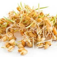 ضددرد شگفت انگیز