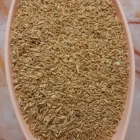 گندم دیم|خدمات باغبانی و درختکاری|آبدانان, |دیوار