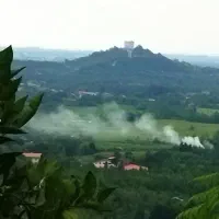 فروش یک قطعه زمین باغی  به قیمت استثنایی