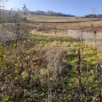 فروش زمین ویلای حیران|فروش زمین و ملک کلنگی|آستارا, |دیوار