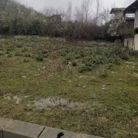 زمین ویودار/مسکونی/سند ششدانگ