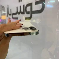 آیفون ۱۳پرومکس سیلور|موبایل|اصفهان, جلفا|دیوار