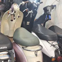 انواع پاکشتی